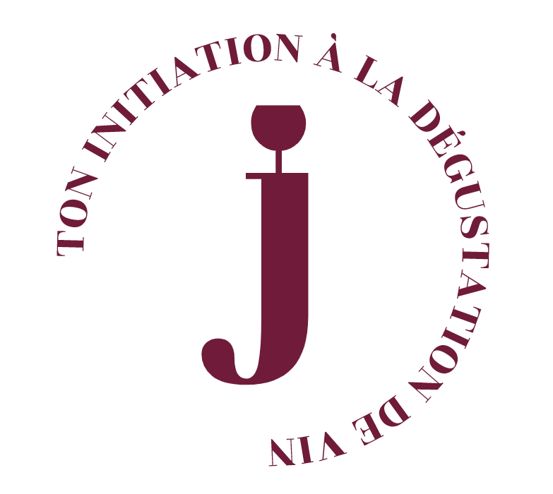 2 coffrets vin blanc et vin rouge pour s'initier à la dégustation de vin –  Josette Dégustation