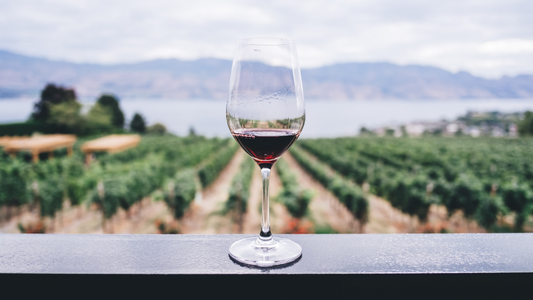 5 Faits insolites sur le vin 🍷